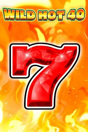 Vignette de Wild Hot 40, jeu de Fazi